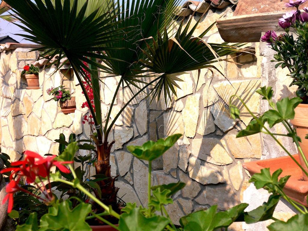 Apartmenthaus Casa Palma Bühl Esterno foto